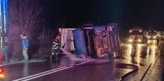 Un camion cu 20 de tone de floarea soarelui s-a răsturnat pe șosea în Crețești blocând circulația