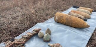 Mai multe elemente de muniţie, descoperite într-o pădure din comuna Ferești