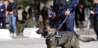 Poliţia Română scoate la concurs posturi de agent şi conductor de câini, inclusiv la Vaslui