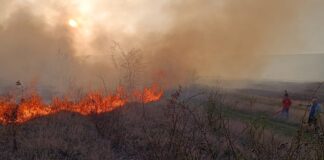 Acţiune de şapte ore a pompierilor vasluieni pentru stingerea unui incendiu pe o plantaţie silvică