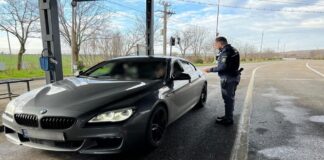 American oprit la frontieră cu un permis de conducere „de tip fantezist”