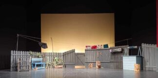 Teatrul „Victor Ion Popa” Bârlad, o nouă premieră