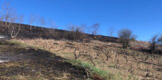 Bătrân de 80 de ani, victimă a unui incendiu de vegetație
