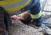 Vasluian, victima unui grav accident de muncă în Vânători-Neamț: Autoutilitară pe care o conducea s-a răsturnat