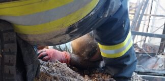 Vasluian, victima unui grav accident de muncă în Vânători-Neamț: Autoutilitară pe care o conducea s-a răsturnat