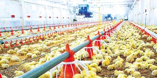 Autostrada Moldovei ajută afacerile vasluiene. Producătorul Morandi: Ajungem din estul ţării către Olanda în doar 48 de ore