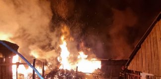 Ajutoare guvernamentale de urgență în valoare de 55.000 lei pentru 11 familii și persoane singure din județ