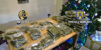 Doi vasluieni, bărbat și femeie, reținuți de polițiști pentru trafic de droguri și operațiuni cu substanțe psihoactive