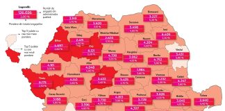 6% dintre angajați vasluieni lucrează la stat, indicator al unei economii puțin diversificată, nedezvoltată și cu oportunități reduse