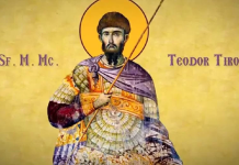 IZVOR DE APĂ VIE: SFÂNTUL TEODOR SAU SÂN TOADER