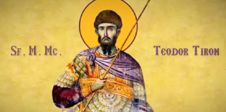 IZVOR DE APĂ VIE: SFÂNTUL TEODOR SAU SÂN TOADER