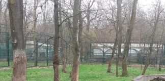 Grădina Zoologică Bârlad va fi dotată cu sistem antiefracție și de supraveghere video