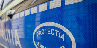 Poliția Animalelor a dat amenzi de peste 3.000 de lei. Animale salvate din pericol