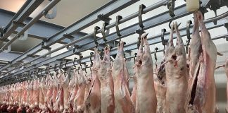 Aveți grijă! S-a dat startul controalelor la produsele de Paște!