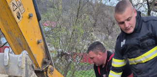 Cal căzut într-o fântână adâncă de peste zece metri, salvat de pompierii bârlădeni