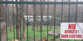 Grădina Zoologică Bârlad, închisă în prima zi de Paște