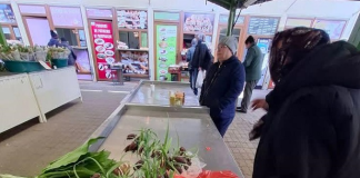O piețară din Bârlad vindea lalele pestrițe, flori protejate prin lege!