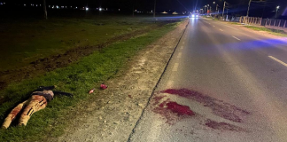 Glumă proastă: Un manechin de paie stropit cu substanță roșie a pus pe jar polițiștii