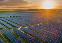 Parc fotovoltaic care va produce energie cât pentru 25.000 de locuințe, la Pușcași