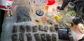 „Afacerea” a doi traficanți, închisă de procurorii DIICOT: unul producea canabis în Ibănești, celălalt îl vindea la consumatori din Bârlad