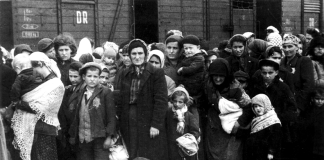 Pogromul de la Iași, reflectat în fotografii (29 iunie – 6 iulie 1941)