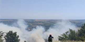 Zeci de intervenții ale pompierilor vasluieni la incendii de vegetație, de la începutul lunii martie