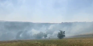Avertisment al Direcției de Mediu după incendiile de vegetație din ultimele zile!