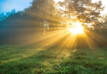 Vreme rece de 1 Mai. Prognoza meteo pentru următoarele patru săptămâni