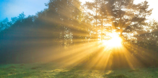 Prognoza meteo pe regiuni, până pe 17 mai. Vreme caldă și ploi răzlețe