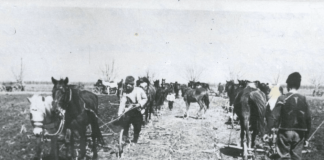 Reforma agrară din 1945 în județul Vaslui