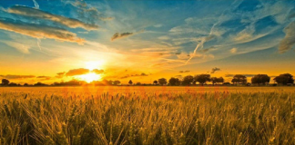 Prețurile produselor agricole au crescut cu 0,26% în aprilie 2026 vs aprilie 2025