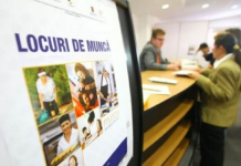 Locuri de muncă vacante la 11 decembrie 2025 în județul Vaslui