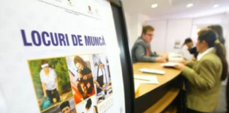 Locuri de muncă vacante în județul Vaslui la 29 ianuarie 2026