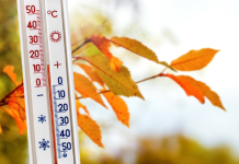 Temperaturile cresc rapid de la 0 la peste 20 de grade