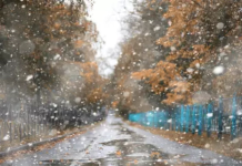 Un weekend rece, cu ploi, burniță și ceață pe alocuri.