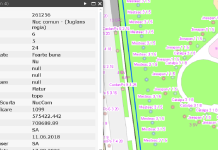 Toți copacii din Vaslui, pe harta Registrului Spațiilor Verzi