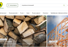 Vasluienii le pot cumpăra lemne părinților pe internet. Romsilva vinde lemn de foc printr-un magazin online.