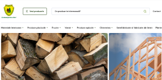 Vasluienii le pot cumpăra lemne părinților pe internet. Romsilva vinde lemn de foc printr-un magazin online.