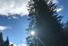 Județul Vaslui se mai dezgheață. Ieșim de sub codurile galbene de ger