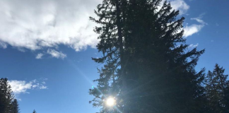 S-a actualizat prognoza meteo pentru luna februarie: Temperaturi peste normalul perioadei și precipitații peste normal