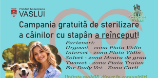 Peste 50 de câini au fost înscriși în programul de sterilizare gratuită la Vaslui