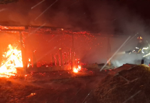 Aparat electric de încălzit, sursa unui incendiu care a distrus un grajd de animale în Portari