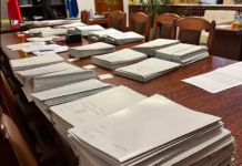 Deputata AUR Laura Gherasim cere înființarea unei comisii de anchetă privind anularea alegerilor prezidențiale din decembrie 2024