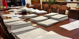 Deputata AUR Laura Gherasim cere înființărea unei comisii de anchetă privind anularea alegerilor prezidențiale din decembrie 2024