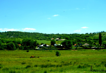 Cum a ajuns Zăpodeniul capitala „ocultei”. Speculațiile depășesc „Dosarul Epstein”…