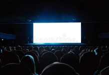 Proiecție de film documentar în cadrul programului european KineDok, la Muzeul „Vasile Pârvan” Bârlad
