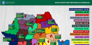 Guvernul a aprobat reorganizarea ROMSILVA. Vaslui și Bacău, comasate în Direcția Silvică Regională Bacău