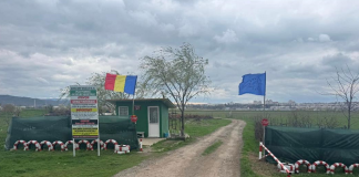 Vasluienii au la dispoziție o platformă pentru depozitarea gratuită a deșeurilor vegetale disponibilă și sâmbăta