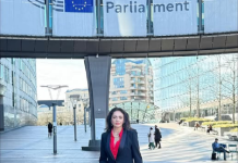 Deputata Laura Gherasim critică aplicarea greșită a Actului legislativ privind serviciile digitale (DSA), de către UE