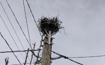 Vreme foarte caldă la începutul săptămânii, apoi răcire și ploi locale spre duminica Rusaliilor